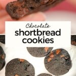 chocolate shortbread cookies, pinterest